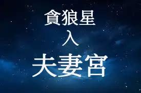 夫妻宮 貪狼|紫微占卜: 夫妻宮有貪狼星